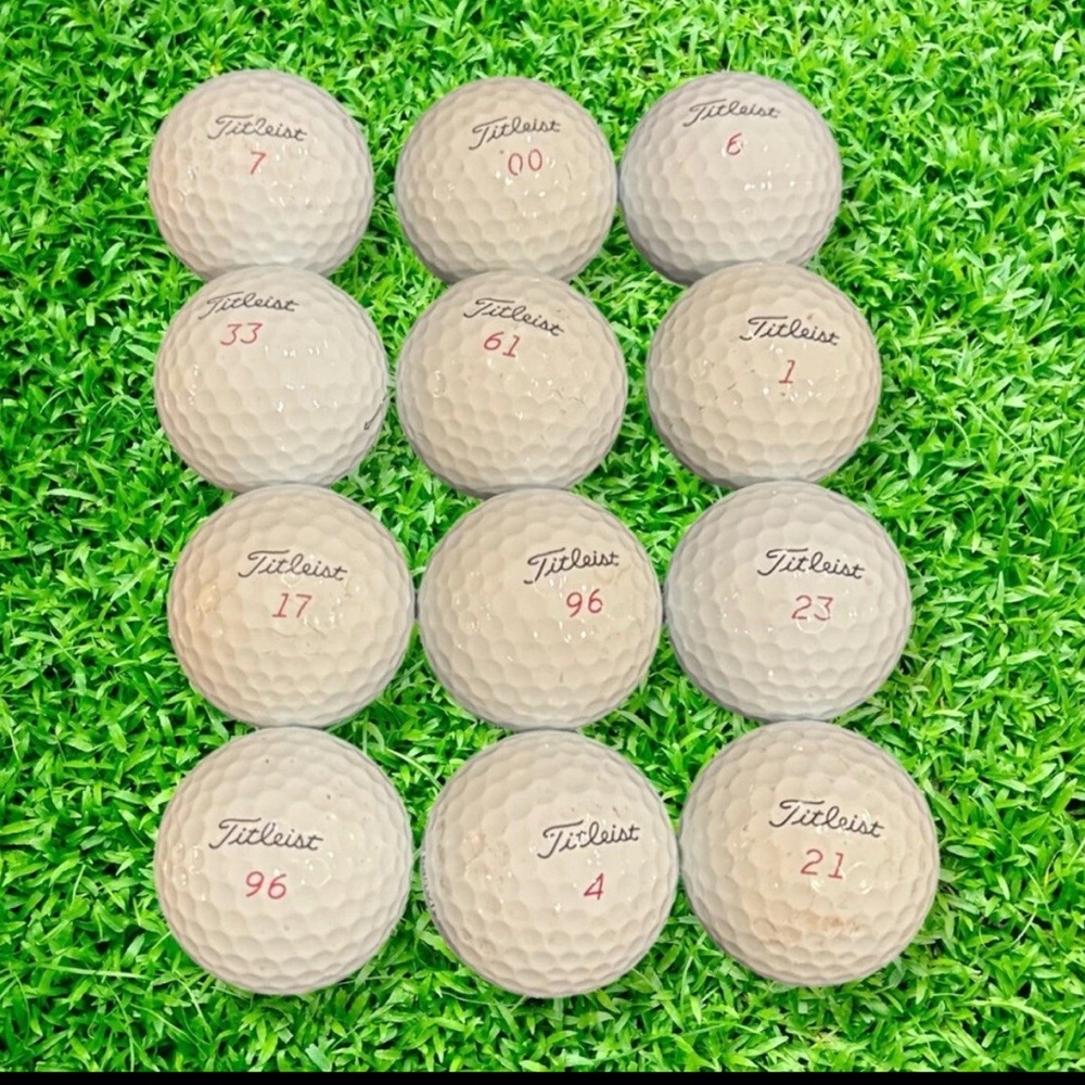 Titleist ProV1X Golf Balls (12) Excellent Used Condition